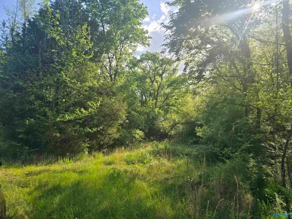 396 Bob Haas Road, Hollywood, AL 35752