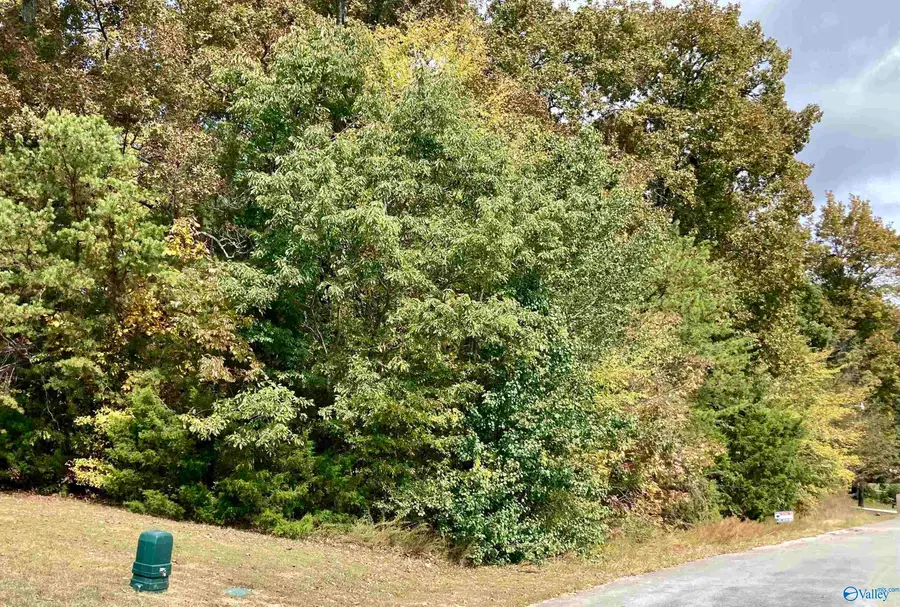 13,14 Forest Home Drive, Trinity, AL 35673 - #3