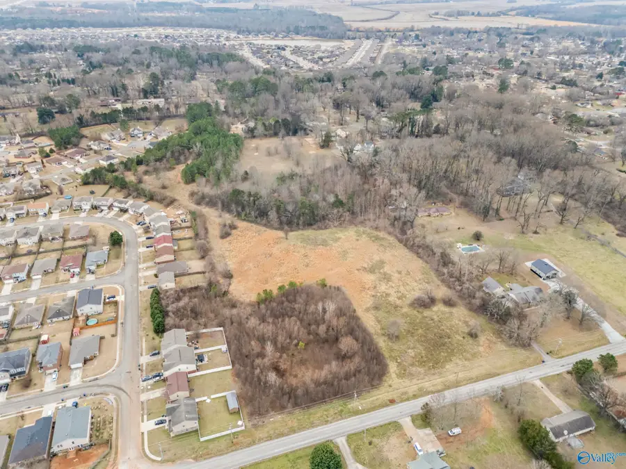 10.9 Acres Monroe Road, Meridianville, AL 35759 - #2