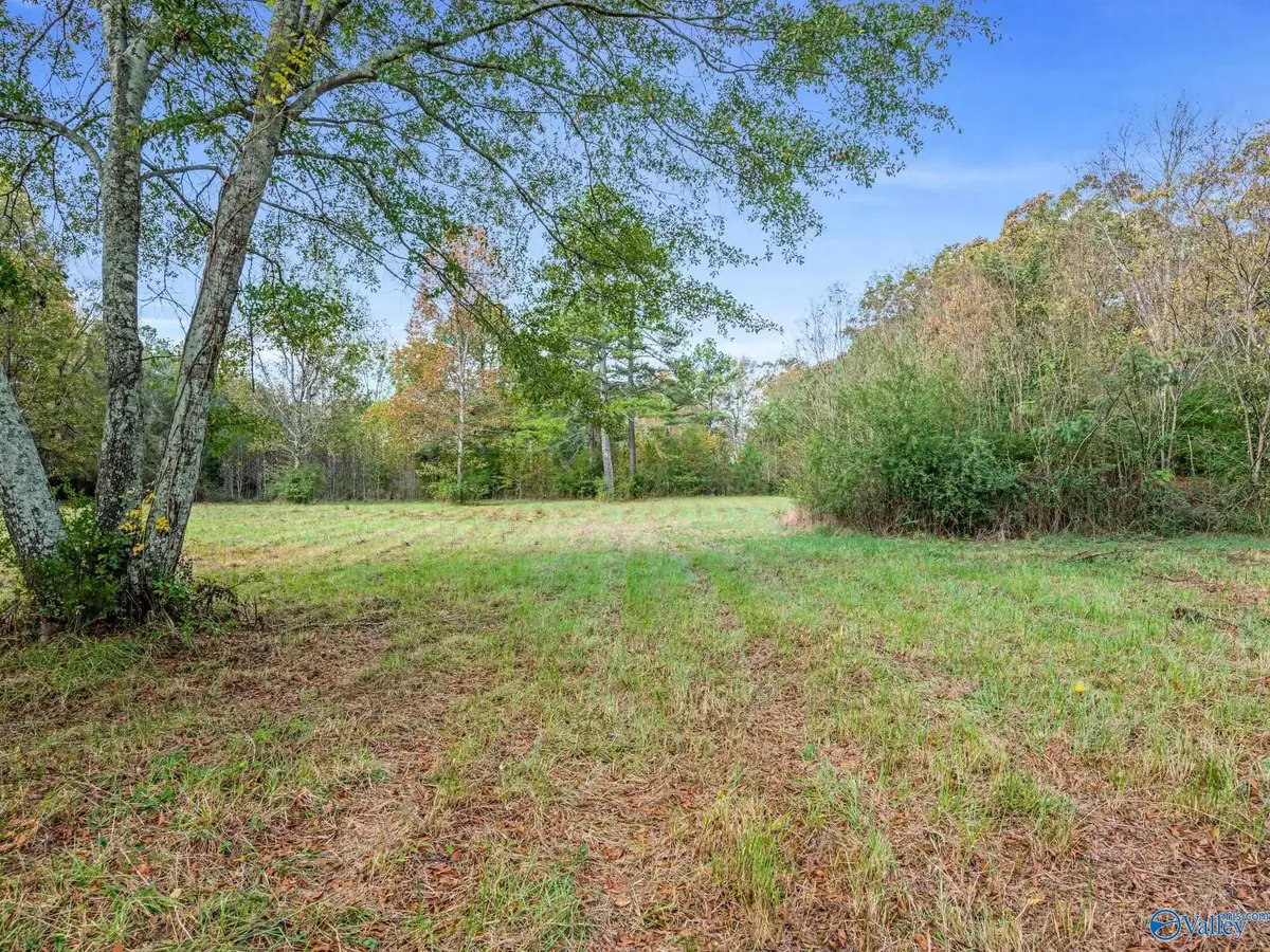 Tract 2 County Road 165, Rogersville, AL 35652 - #1