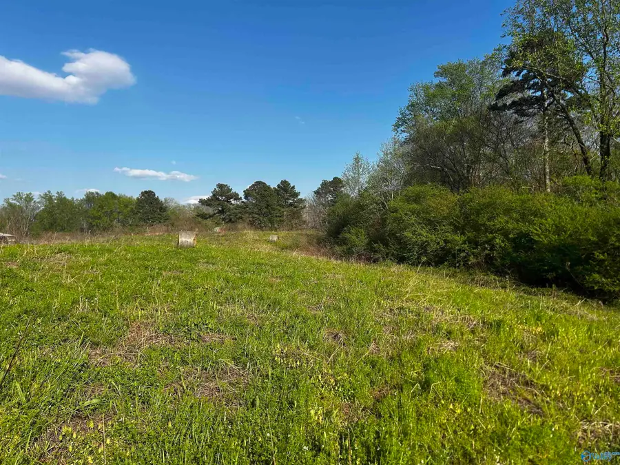 2676 County Road 1107, Vinemont, AL 35179 - #3