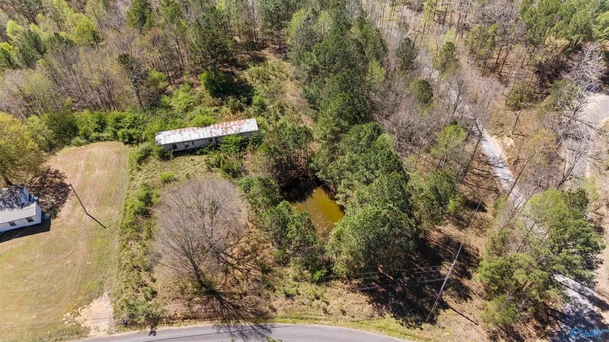 461 County Road 935, Crane Hill, AL 35053 - #1
