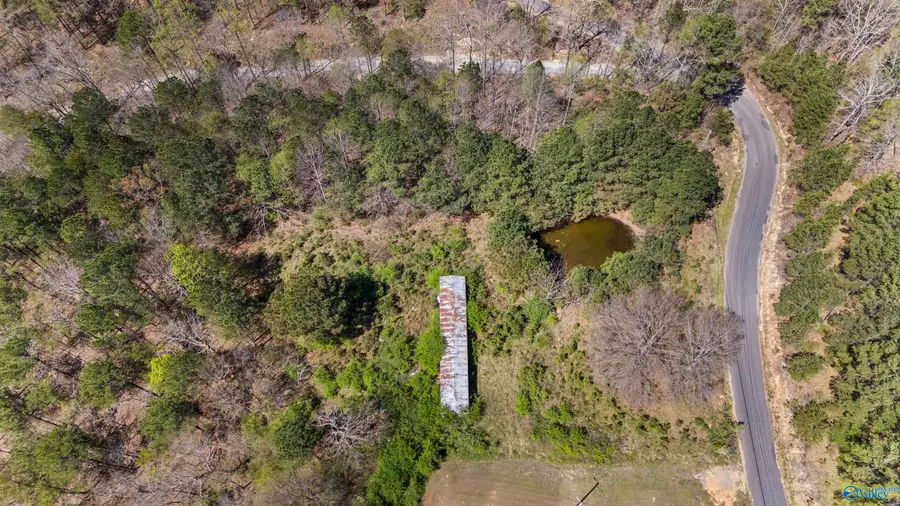 461 County Road 935, Crane Hill, AL 35053 - #2