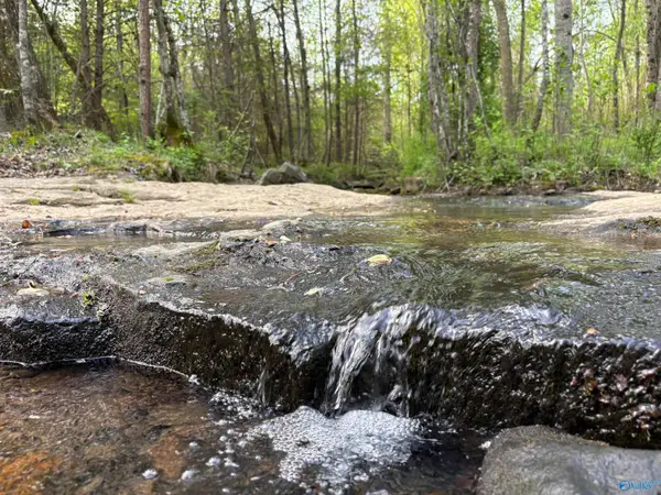 20.90 ac County Road 361, Pisgah, AL 35765