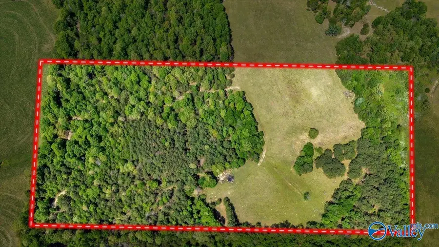 20.90 ac County Road 361, Pisgah, AL 35765 - #2