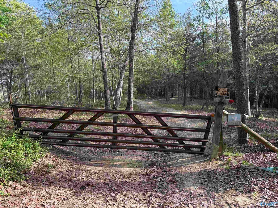 20.90 ac County Road 361, Pisgah, AL 35765 - #3