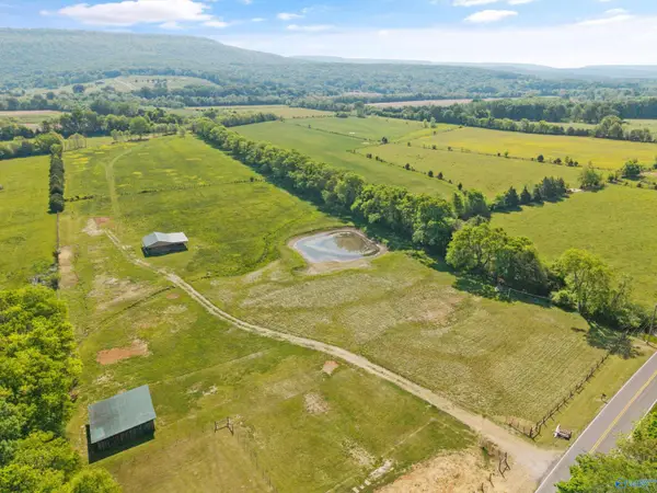 30 +/- acres Hurricane Road, New Market, AL 35761