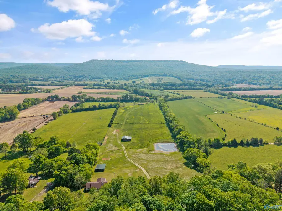 30 +/- acres Hurricane Road, New Market, AL 35761 - #2