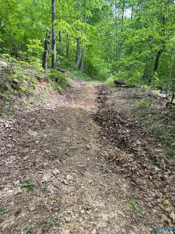 12 acre Cottonville Road, Grant, AL 35747