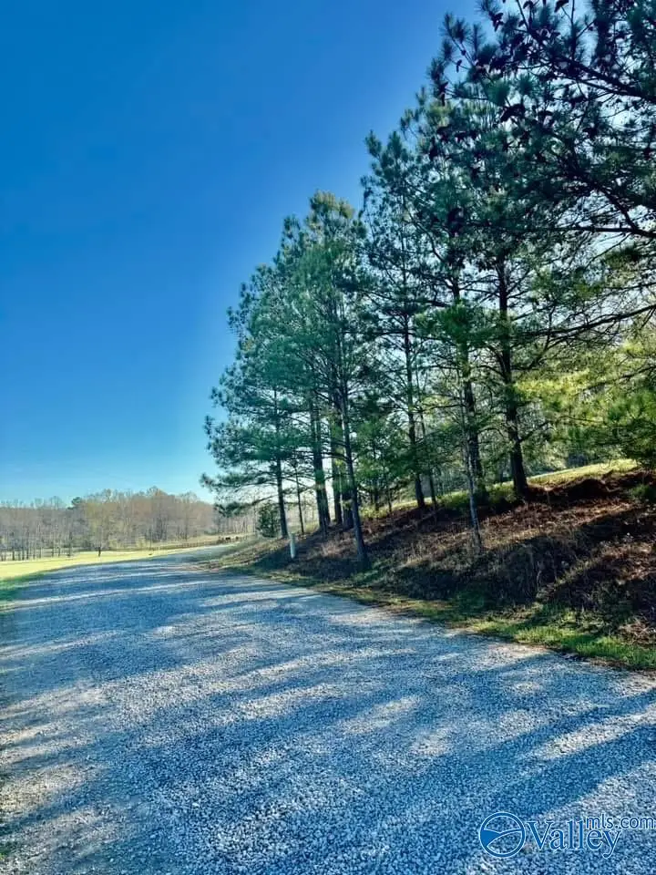 741 Poplar Springs Trail, Ashville, AL 35953 - #1