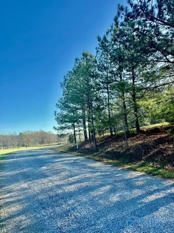 741 Poplar Springs Trail, Ashville, AL 35953