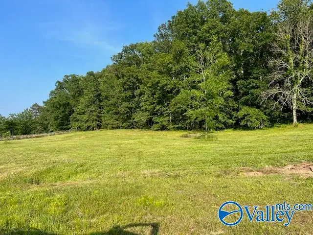 741 Poplar Springs Trail, Ashville, AL 35953 - #2