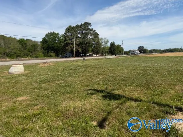 103 Burress Road, Owens Cross Roads, AL 35763 - #3