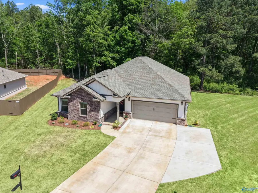 21643 Ginn Point Road, Athens, AL 35613 - #3