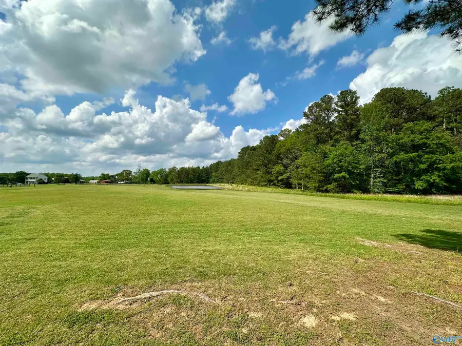 0001 Lambert Road, Elkmont, AL 35620 - #3