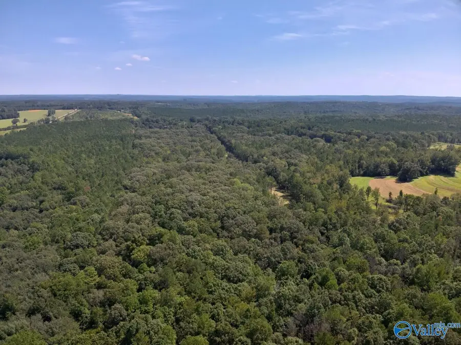 221 Blue Bird Road, Sulligent, AL 35586 - #2