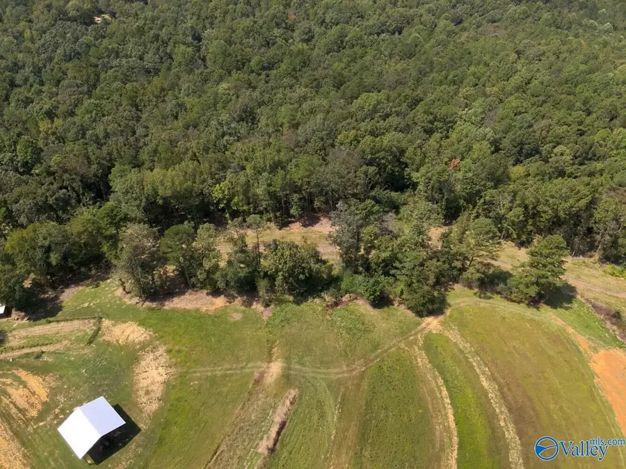 221 Blue Bird Road, Sulligent, AL 35586 - #3