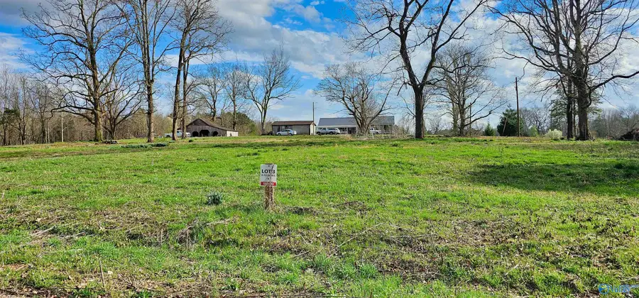 .52 Acre County Road 825, Scottsboro, AL 35768 - #2