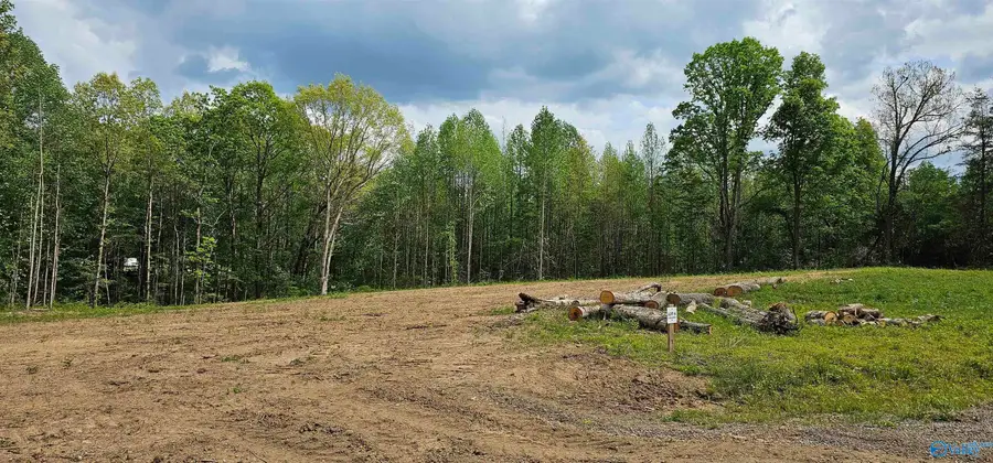.88 Acre County Road 825, Scottsboro, AL 35768 - #3