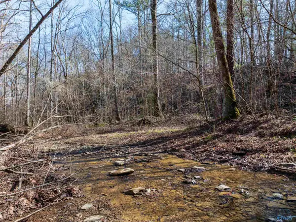 40 acre Red Hill Road, Oakman, AL 35579