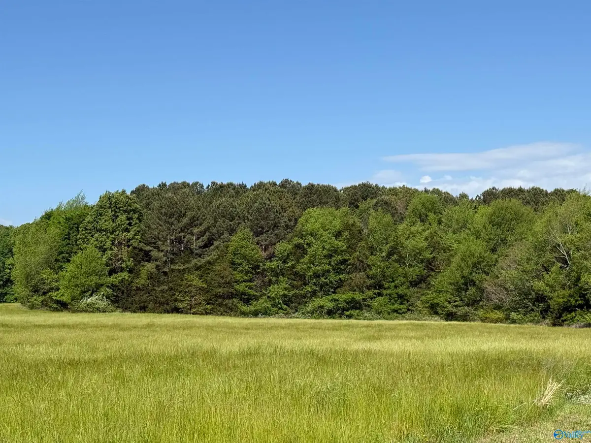 3 Acres Mount Lebanon Road, Toney, AL 35773 - #1