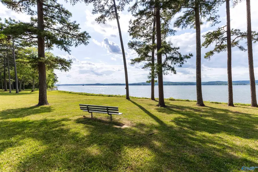 2305 Sunset Drive, Guntersville, AL 35976 - #3