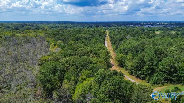 188 Acres Taylor Ridge Road, Montgomery, AL 36116
