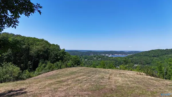 Tracts 4&5 Rocky Branch Road, Guntersville, AL 35976