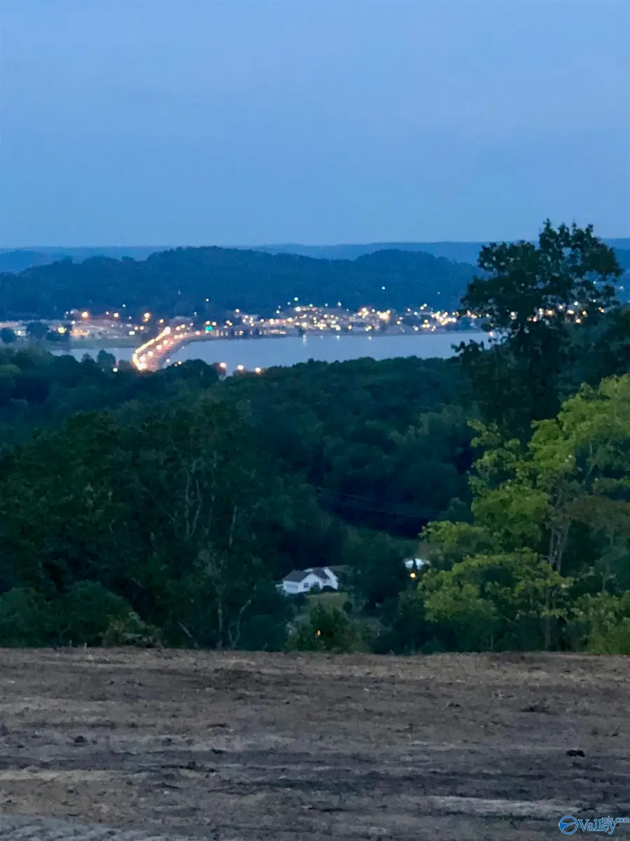 Tracts 4&5 Rocky Branch Road, Guntersville, AL 35976 - #2