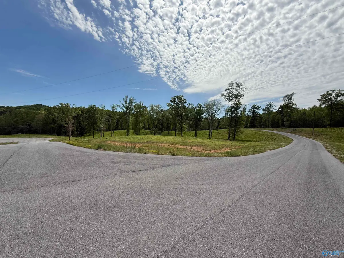 Lantana Haven Ashville Road, Altoona, AL 35952 - #1