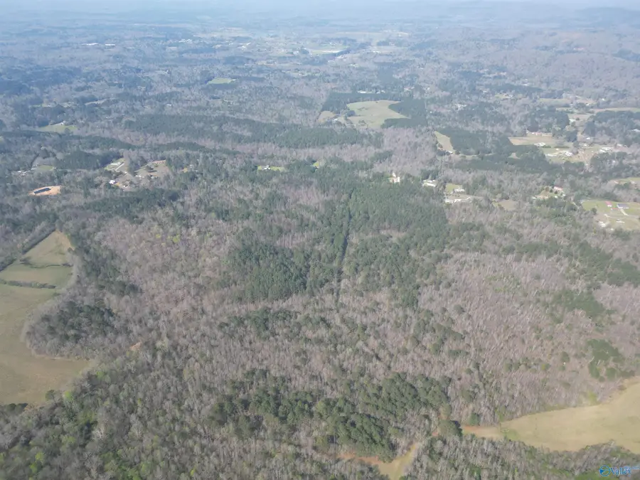 80 +/- Acres Pine Ridge Road, Wellington, AL 36279 - #2