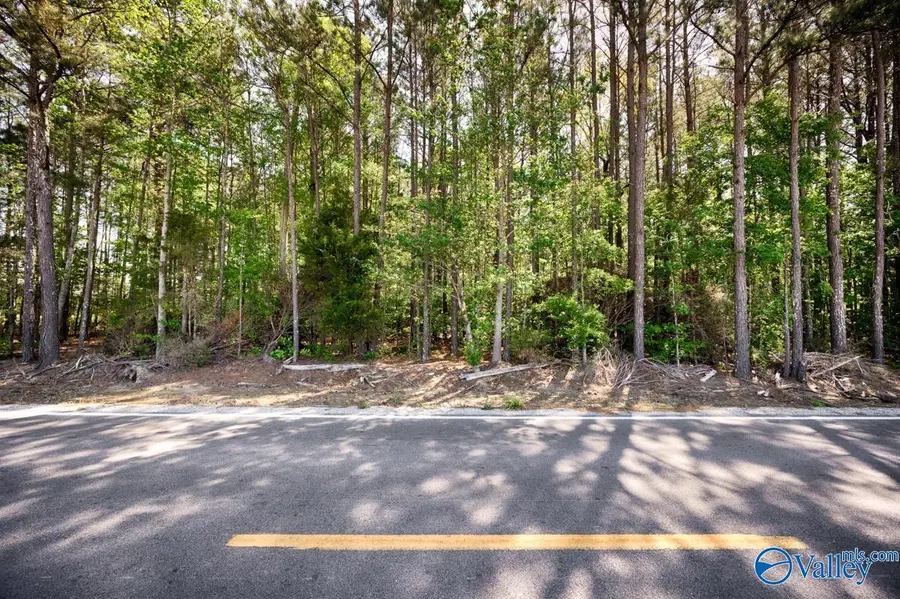 2.0 Oak Grove Road, Elkmont, AL 35620 - #2