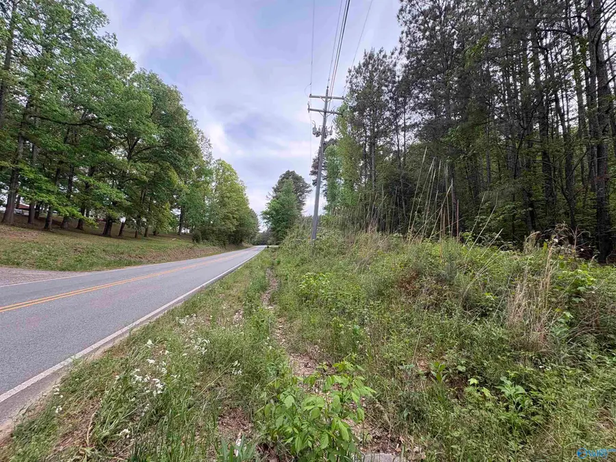 Lot 1 Wilhite Road, Falkville, AL 35622 - #3