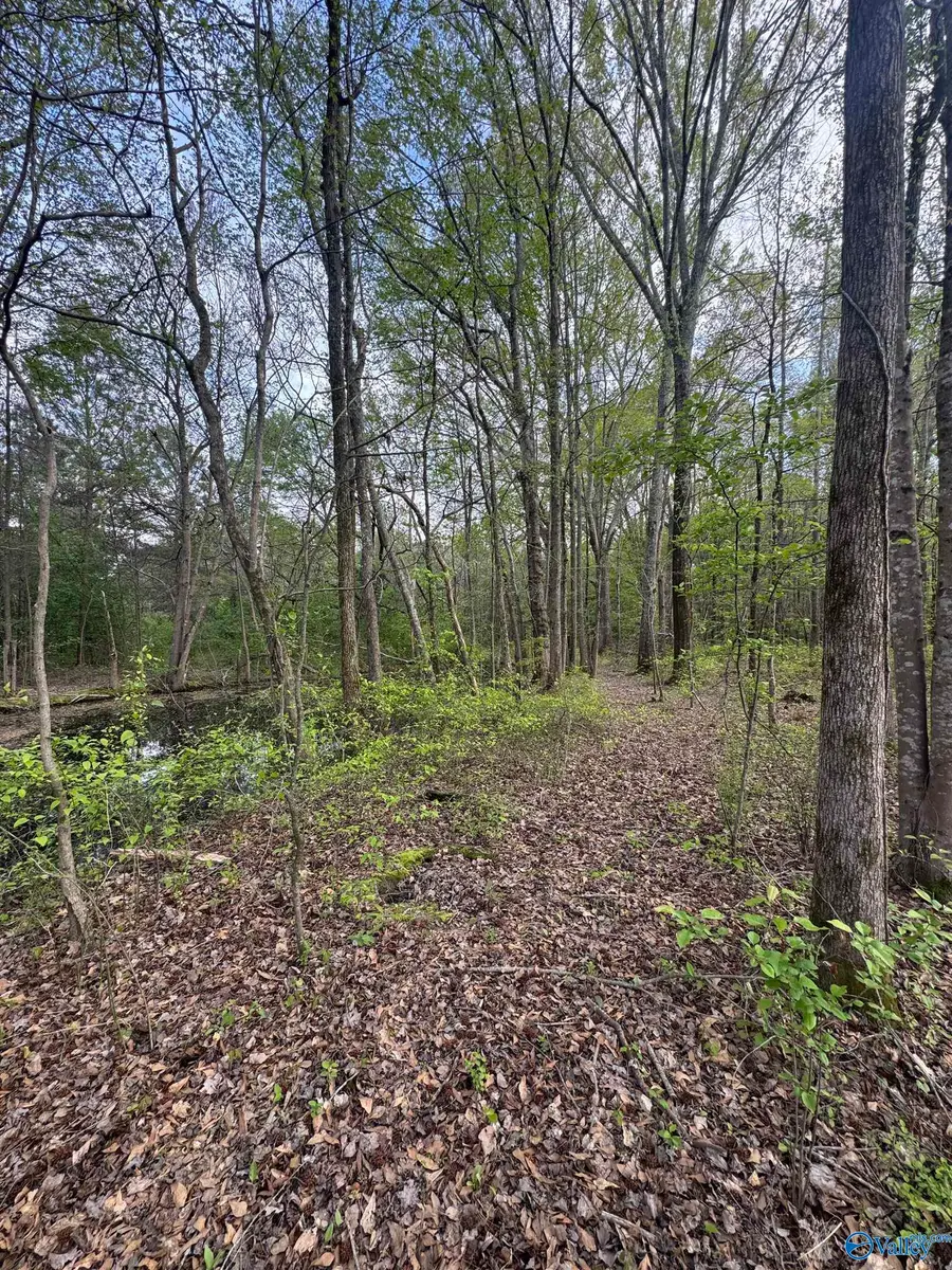 Lot 8 County Road 496, Centre, AL 35960 - #2