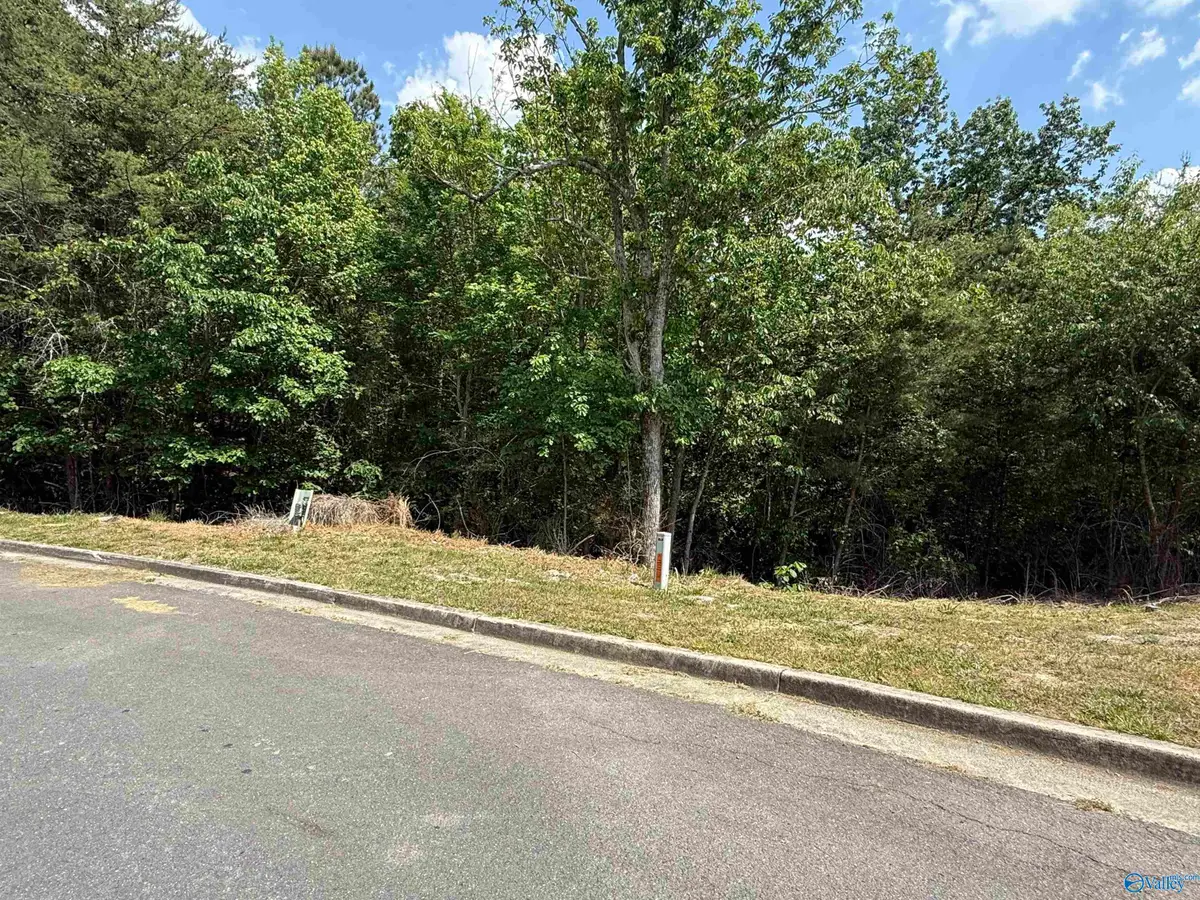 Lot 19 Ridgefield Circle, Guntersville, AL 35976 - #1
