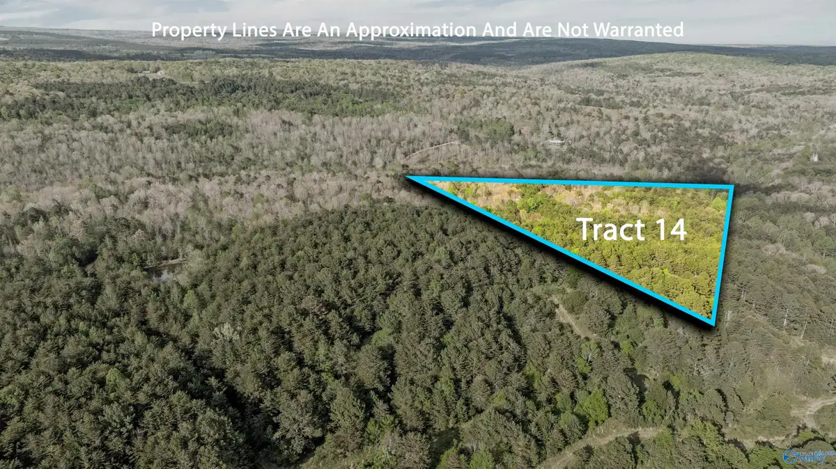 7.8 Acres Road 9002, Mentone, AL 35984 - #1