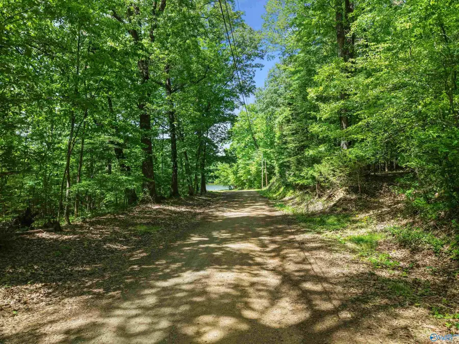 12105 Grigsby Ferry Road, Elkmont, AL 35620 - #2