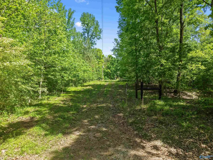 12105 Grigsby Ferry Road, Elkmont, AL 35620 - #3