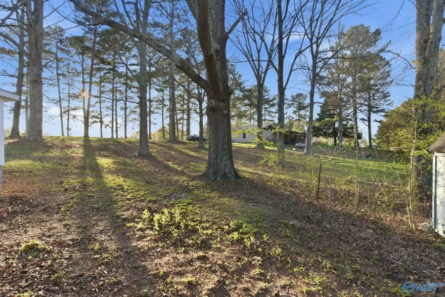 15170 Highway 75, Henagar, AL 35978 - #2