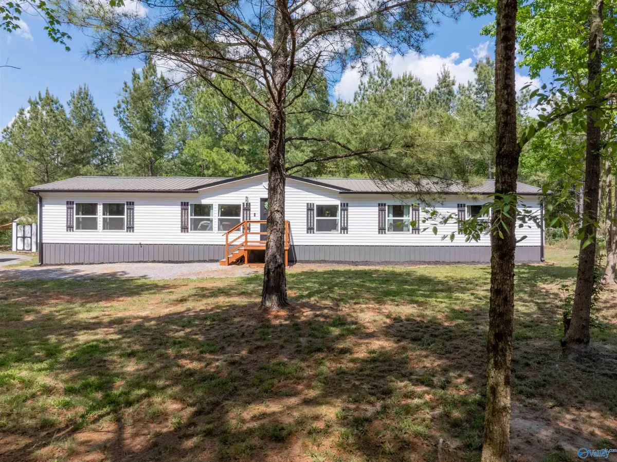 4497 County Road 159, Flat Rock, AL 35966 - #1