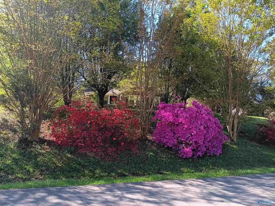 3740 Hulaco Road, Joppa, AL 35087 - #3