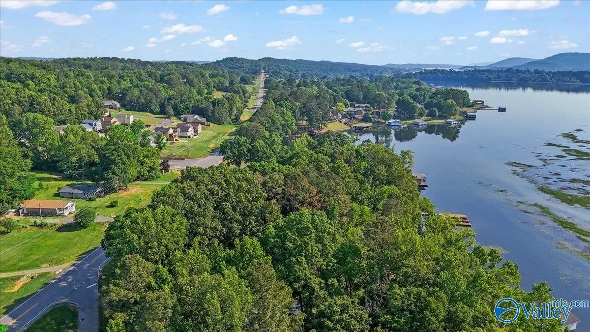 Lot 1 Lakecrest Drive, Guntersville, AL 35976 - #1