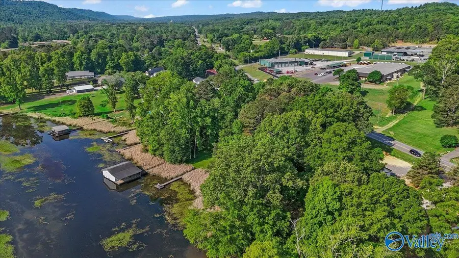 Lot 1 Lakecrest Drive, Guntersville, AL 35976 - #3