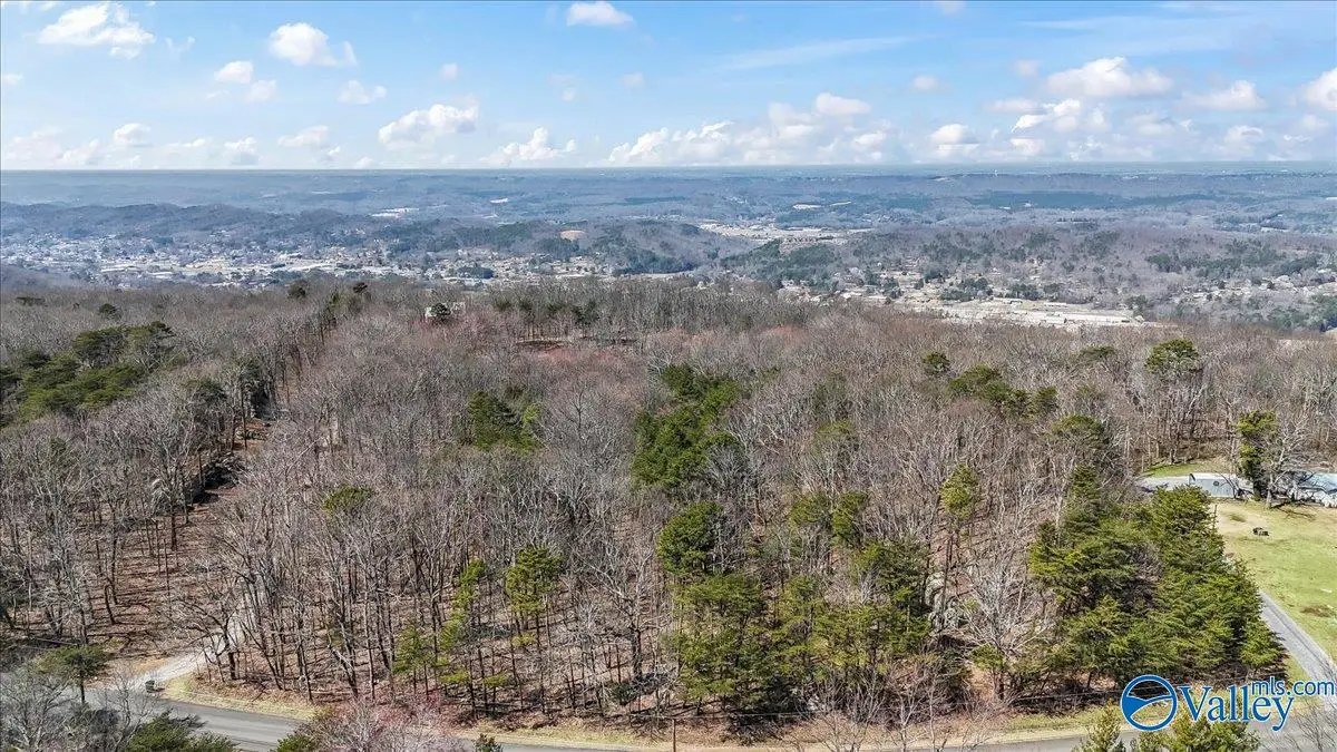 3180 Citadel Rock Road, Fort Payne, AL 35967 - #1