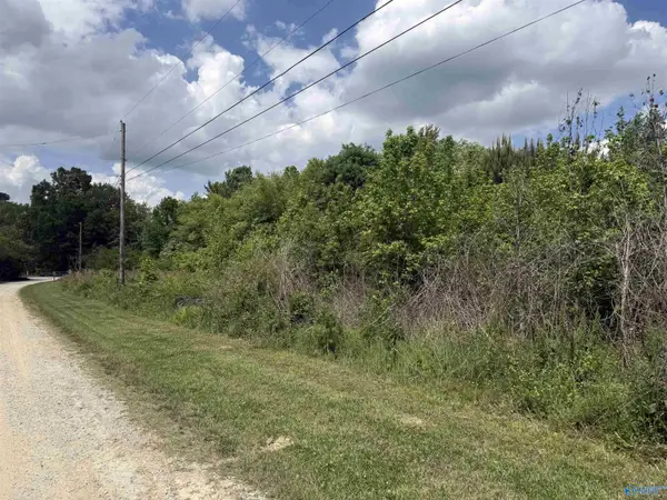 Lot 15 Village Lane, Gadsden, AL 35901