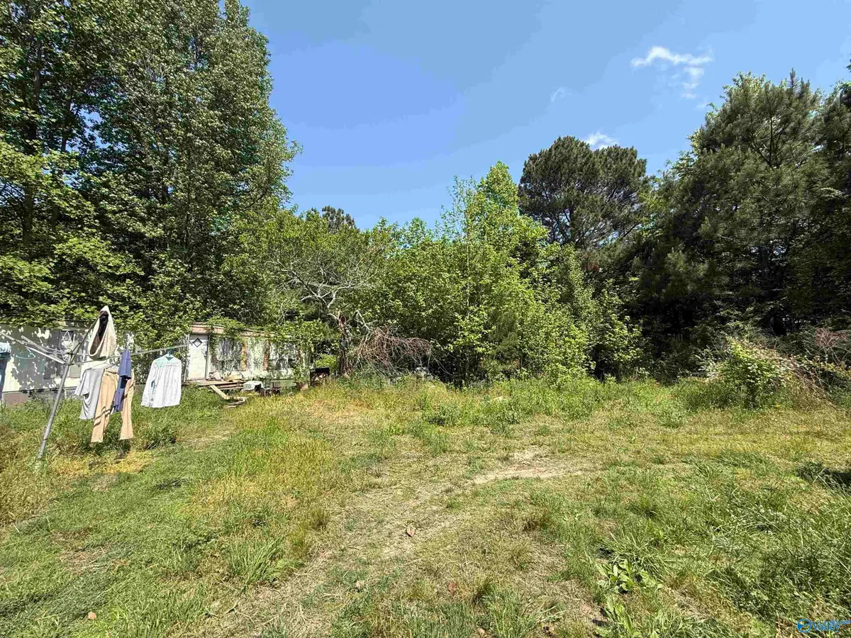 167 County Road 1592, Baileyton, AL 35019 - #1