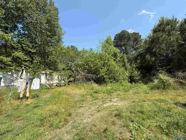 167 County Road 1592, Baileyton, AL 35019