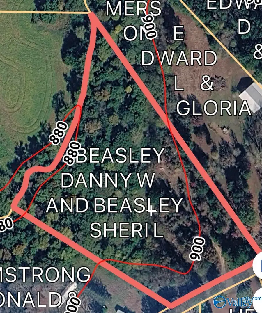 167 County Road 1592, Baileyton, AL 35019 - #2