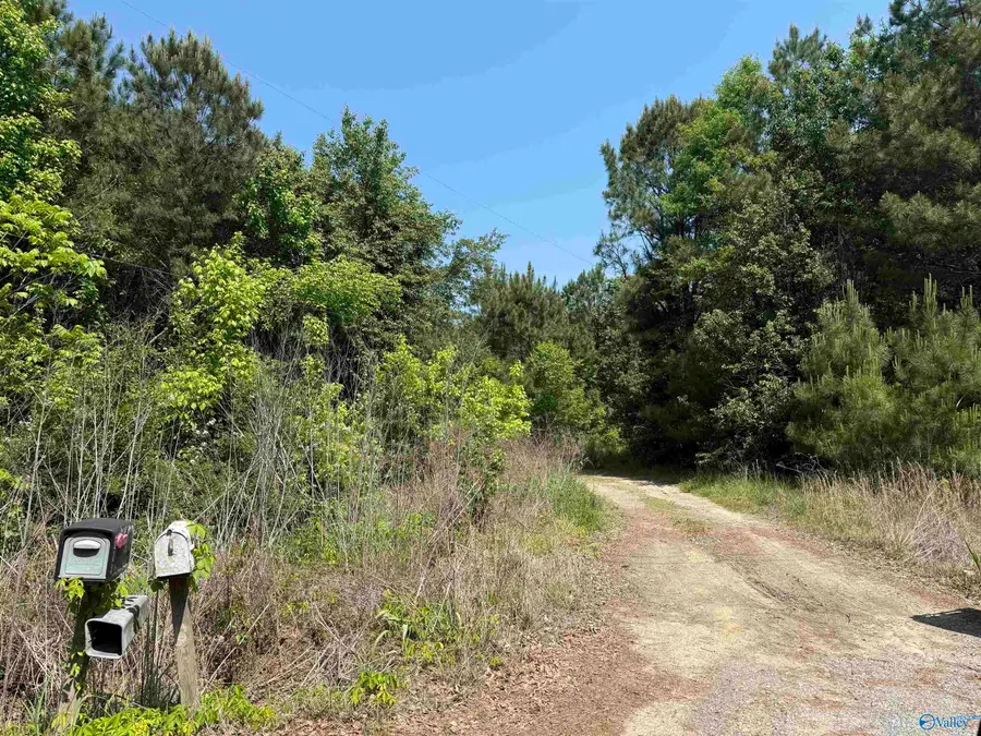 167 County Road 1592, Baileyton, AL 35019 - #3