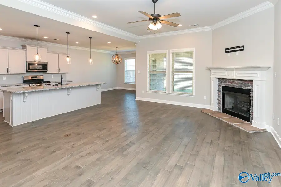 12805 Hudbug Drive, Madison, AL 35756 - #3